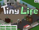 Миниатюра к Tiny Life