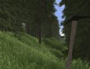 Миниатюра к Rising World